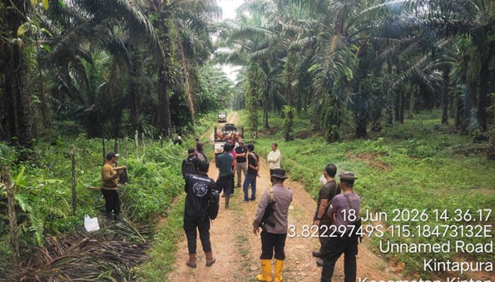 Tak Patuhi Putusan PN Pelaihari, Enam Terlapor Hadapi Dugaan Pasal Pencurian
