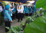 Indeks Kualitas Keluarga Kabupaten Banjar Naik Signifikan