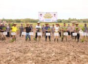 Tanam Padi di Desa Banjang Bupati Dorong Peningkatan Produksi Pertanian
