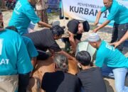 BSI RO IX Kalimantan Salurkan 2.136 Hewan Kurban, Perkuat Kepedulian Sosial di Hari Raya Idul Adha