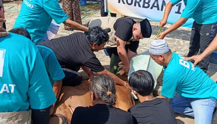 BSI RO IX Kalimantan Salurkan 2.136 Hewan Kurban, Perkuat Kepedulian Sosial di Hari Raya Idul Adha