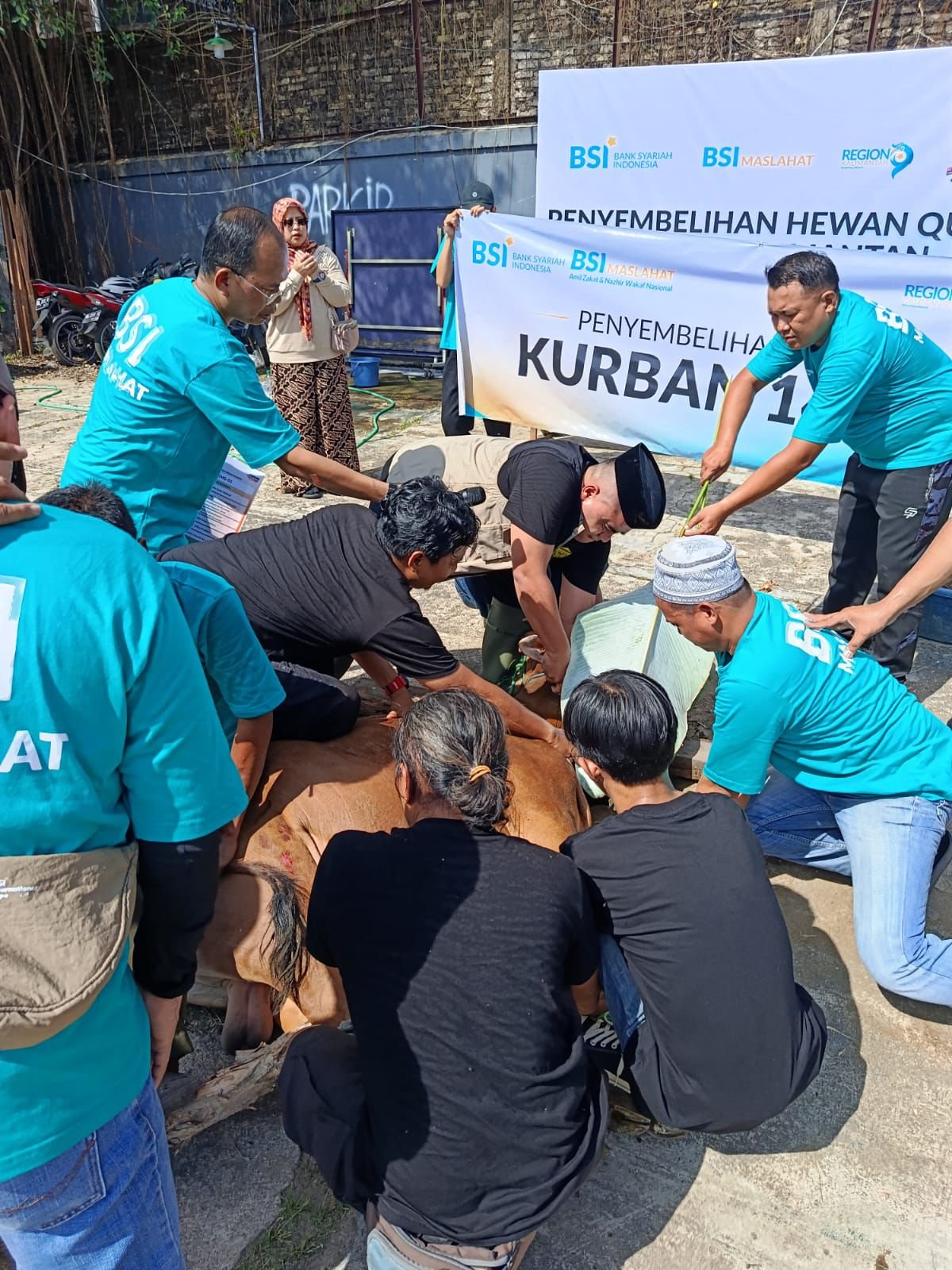BSI RO IX Kalimantan Salurkan 2.136 Hewan Kurban, Perkuat Kepedulian Sosial di Hari Raya Idul Adha 1 IMG 20260602 WA0011