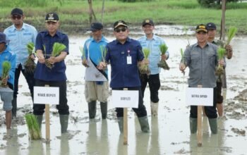 Bupati HSU H Sahrujani Tanam Padi di Desa Cempaka 4 IMG 20260610 WA0079