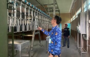 Tak Bergantung Investor, RPU Modern Banjarmasin Siap Beroperasi Setelah Fasilitas Lengkap 4 IMG 20260611 WA0011