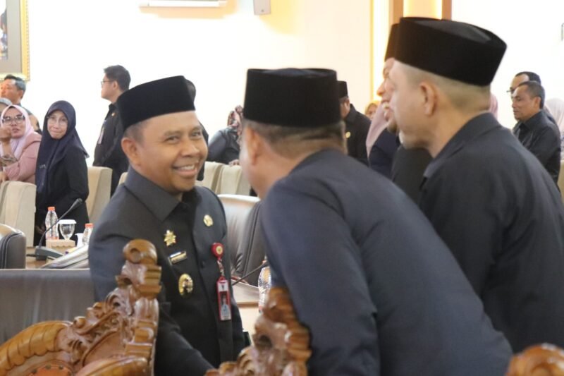 Pemkab Tapin Pertahankan WTP ke-12, Pendapatan Daerah 2025 Lampaui Target 1 IMG 20260611 WA0017 scaled e1781160921777