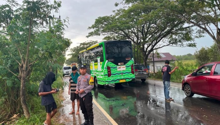 Bus Trans Banjarbakula Tabrak Belakang Truk Box di Gunung Raja, Satu Penumpang Terluka