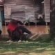 IMG 20260612 WA0048 1