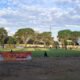 IMG 20260614 WA0104
