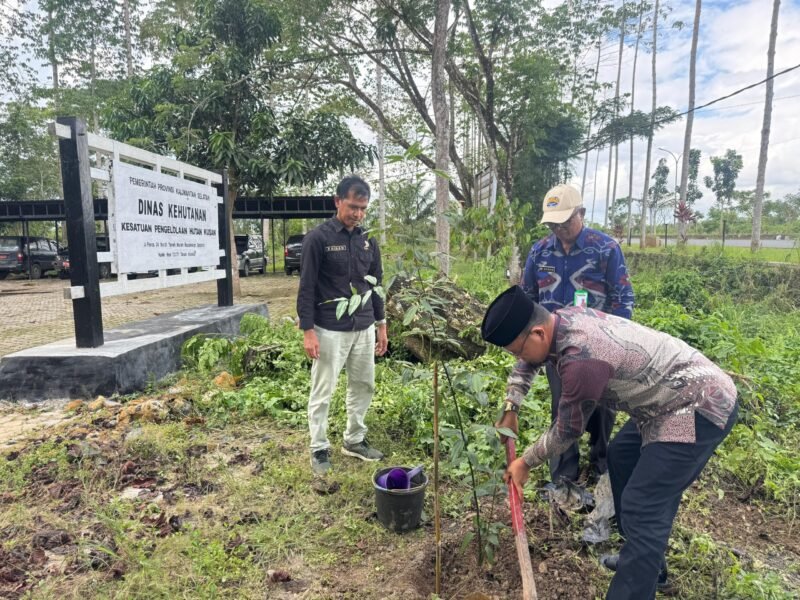 Komisi II DPRD Kalsel Tinjau Kesiapan KPH Kusan Hadapi Ancaman Karhutla 1 IMG 20260623 WA0009 scaled e1782177456632