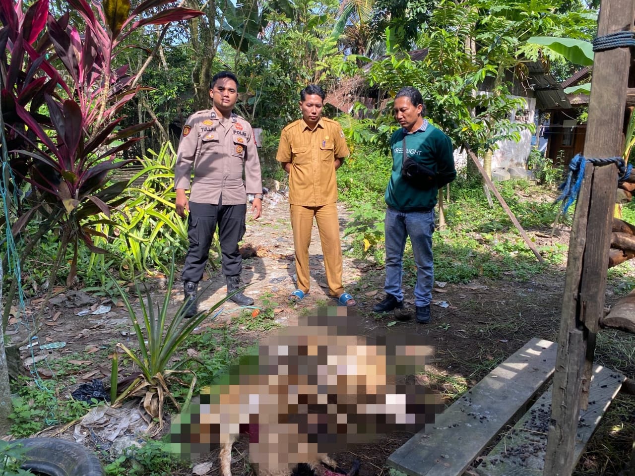 Warga Desa Batang Bahalang Geger Ternak Domba Mati 1 IMG 20260623 WA0057