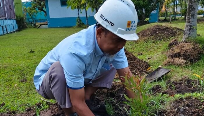 Peringati Hari Lingkungan Hidup Sedunia 2026, PLN Indonesia Power UBP Barito Tanam Pohon di Lingkungan PLTD Trisakti