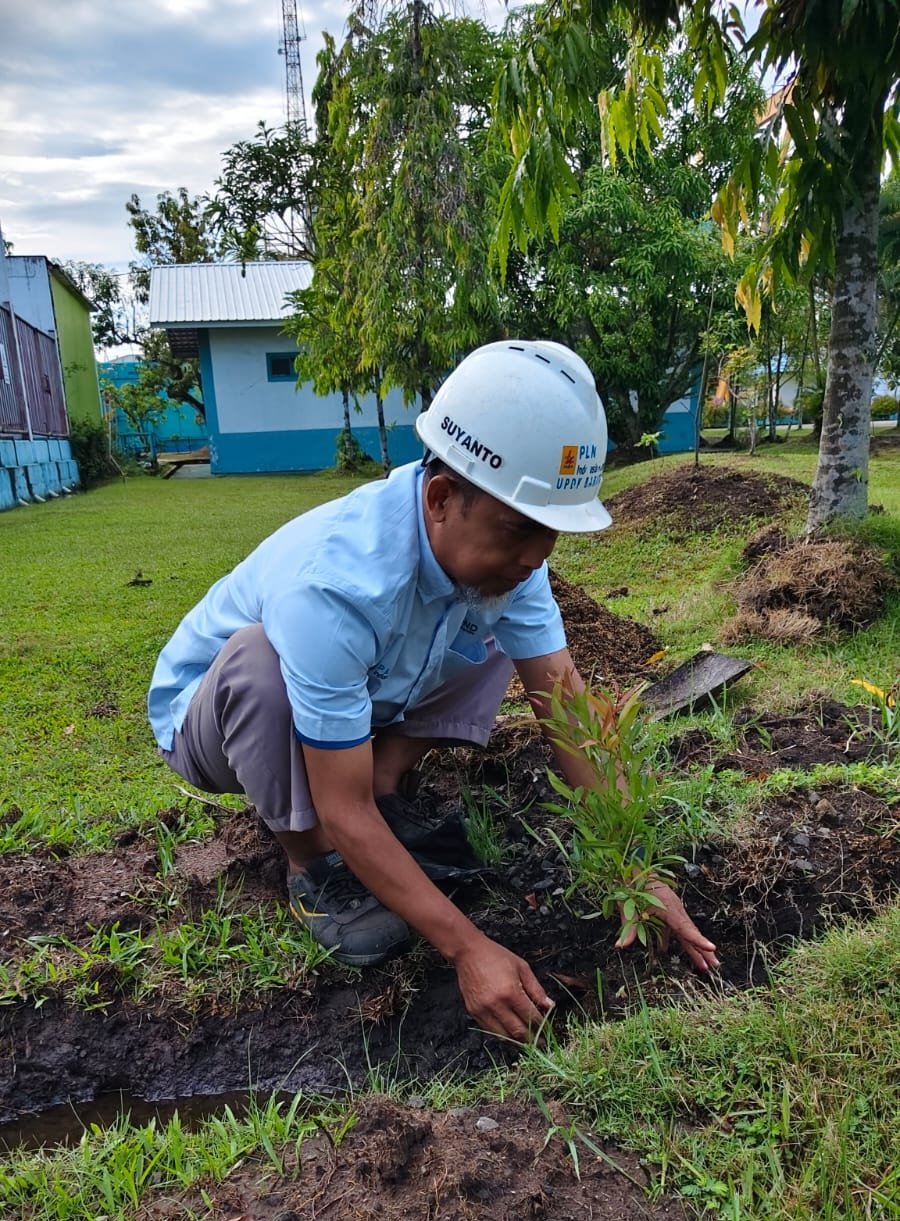 Peringati Hari Lingkungan Hidup Sedunia 2026, PLN Indonesia Power UBP Barito Tanam Pohon di Lingkungan PLTD Trisakti 1 IMG 20260609 115804