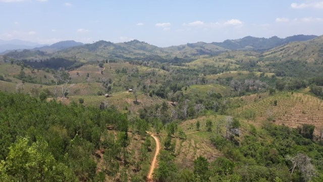 Blended Finance Perhutanan Sosial Diluncurkan 1 hutan