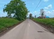 Jalan Margasari Diaspal Sepanjang 1,6 Km