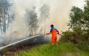 Berjibaku di Lima Titik Api