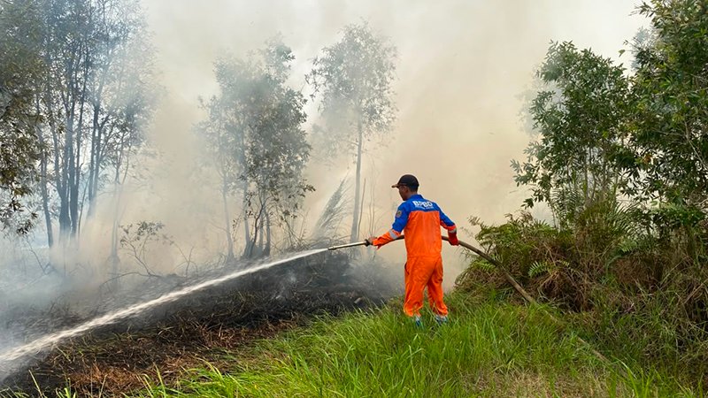 1 2 klm 5 cm Karhutla Banjarbaru