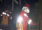 Tim Kemenhut Padamkan Karhutla