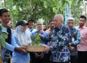 Rimba Mart Hadirkan Produk Hutan