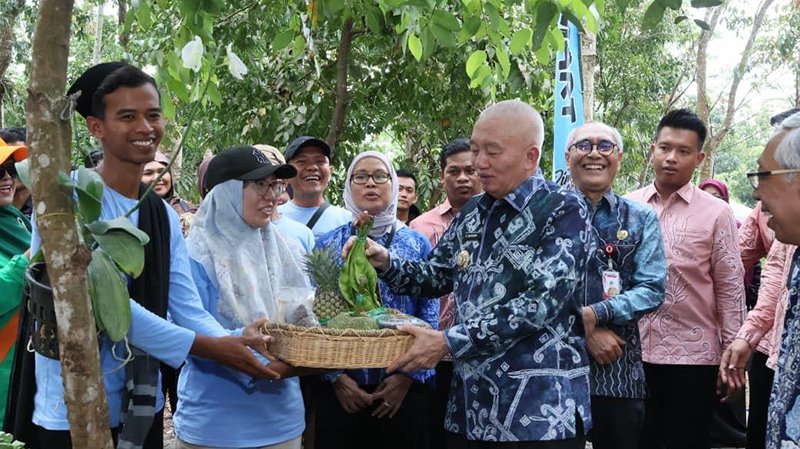 1 3 klm 3 cm Rimba Ma3 klm 3 cm rt