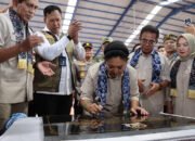 Kalsel Posisi Strategis Lumbung Pangan di Pulau Kalimantan