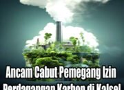 Ancam Cabut Pemegang Izin Perdagangan Karbon di Kalsel