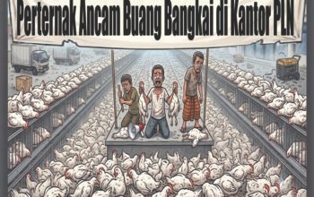 Perternak Ancam Buang Bangkai di Kantor PLN 4 1 utama 5 klm 9 cm ayam3