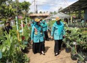 Desa Sirih Tampilkan Kebun Pekarangan ke Tim Penilai Lomba PKK Kalsel
