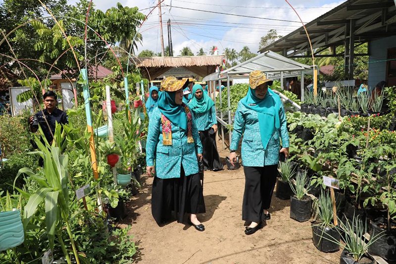 Desa Sirih Tampilkan Kebun Pekarangan ke Tim Penilai Lomba PKK Kalsel 1 Hal 12 HSS 1 3 kln