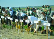 Bupati Tanam Padi Bersama Kepala BPPSDMP di Oplah Amparaya