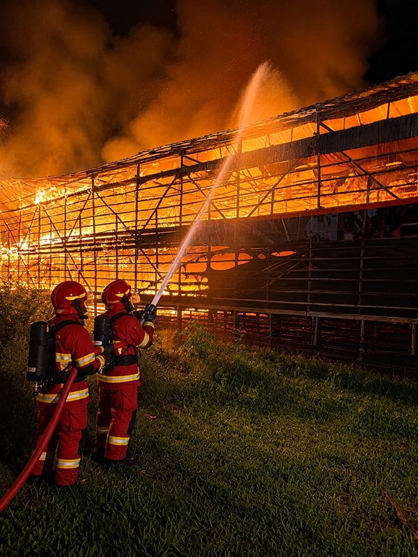 Kebakaran Hanguskan Rumah dan Kandang Ayam di Pelaihari 1 Hal 2 Tala 1 3 klm 16