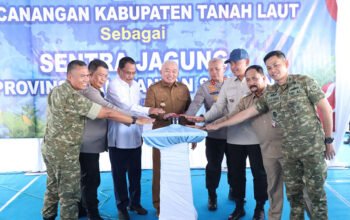 Gubernur Kalsel Canangkan Tanah Laut Sentra Jagung Provinsi 5 Hal 2 Tala 3 klm