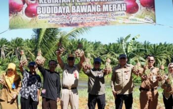 GOW dan DP3AP2KB Tanah Laut Gelar Pelatihan Public Speaking 4 Hal 2 Tala 3 klm 5