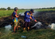 Kebakaran Lahan Dua Hektare di Bati-Bati Berhasil Dijinakkan