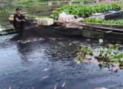 Kemarau, DKPP Pantau Keramba Jala Apung Pembudidaya Ikan