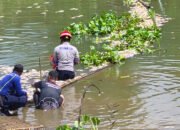 Pemkab-Relawan Gerak Cepat Tangani Dampak Kematian Ikan Massal