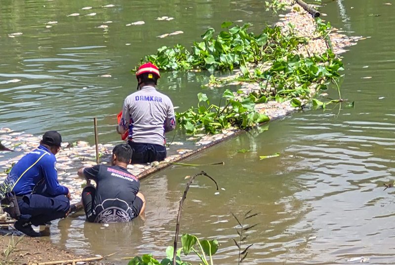 Pemkab-Relawan Gerak Cepat Tangani Dampak Kematian Ikan Massal 1 Hal 4 4 KLM Martapura gerak cepat
