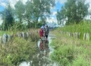 Pembangunan Lanjutan Jalan Simpang Jelai Buka Akses Menuju Kuin Kacil