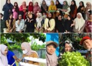 Transformasi Perkarangan Sempit melalui Hidroponik sebagai Upaya Peningkatan Ketahanan Pangan Keluarga