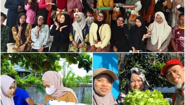 Transformasi Perkarangan Sempit melalui Hidroponik sebagai Upaya Peningkatan Ketahanan Pangan Keluarga