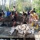 IMG 20260706 WA0015