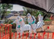 Korban Tewas Ebola di RD Kongo Tembus 500 Kasus