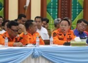 Tapin Tetapkan Siaga Karhutla, Mayoritas Hotspot Berasal dari Kawasan Tambang