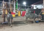 Keluarga Besar Arton Gelar Tiwah Masal, Besok Tabuh Pertama
