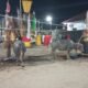 IMG 20260710 WA0002