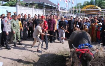 IMG 20260710 WA0030 1