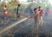 Dinas Kehutanan Responsif Karhutla Tumbang Nusa