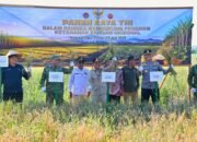 Gubernur Agustiar Sabran Panen Raya di Desa Lempuyang Kotim
