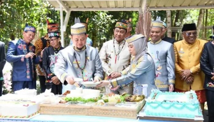 HUT ke 24, Wagub Minta Katingan Optimalkan Potensi Daerah