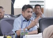 Pemadaman Berulang, DPRD Kalsel Desak Investigasi Independen