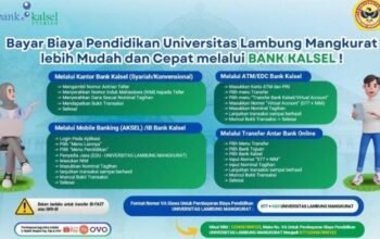 IMG 20260729 WA0013 1